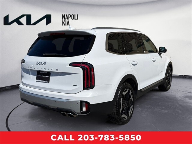 2024 Kia Telluride EX photo 3