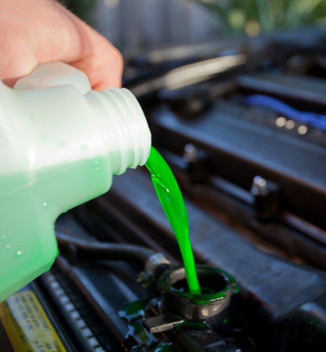 adding-coolant-antifreeze2.jpg