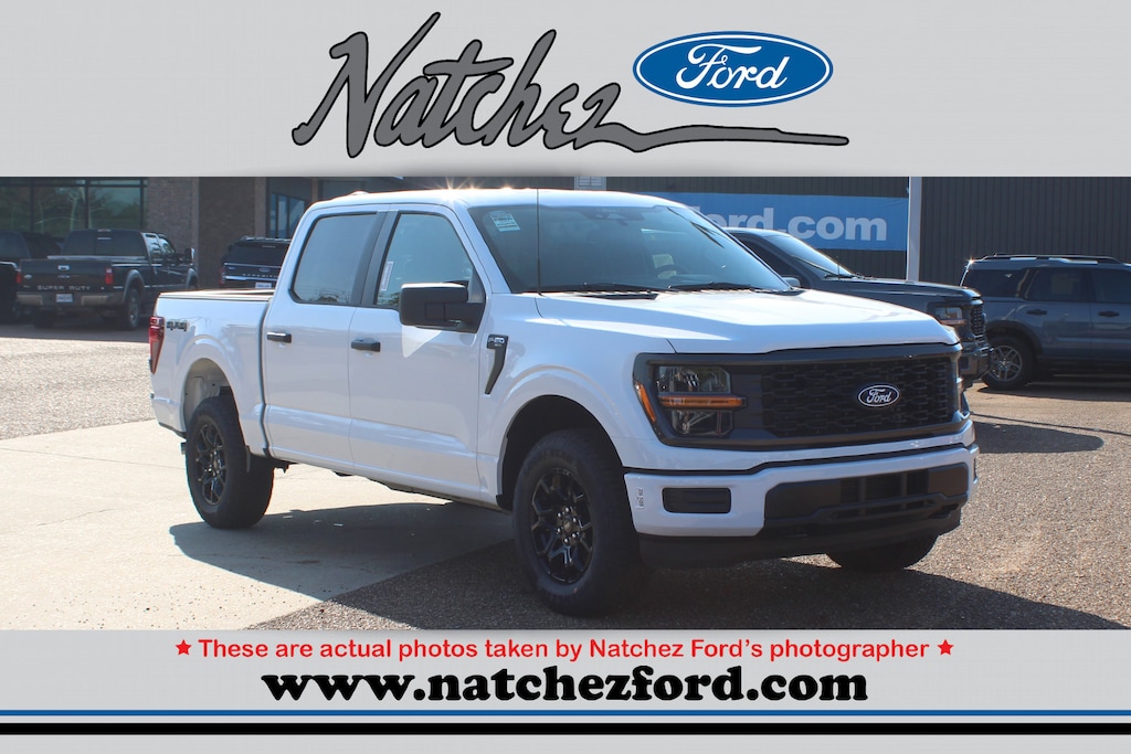 New 2025 Ford F-150 STX Truck