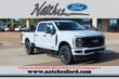 Ford Super Duty F-250 SRW