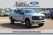 Ford Super Duty F-250 SRW