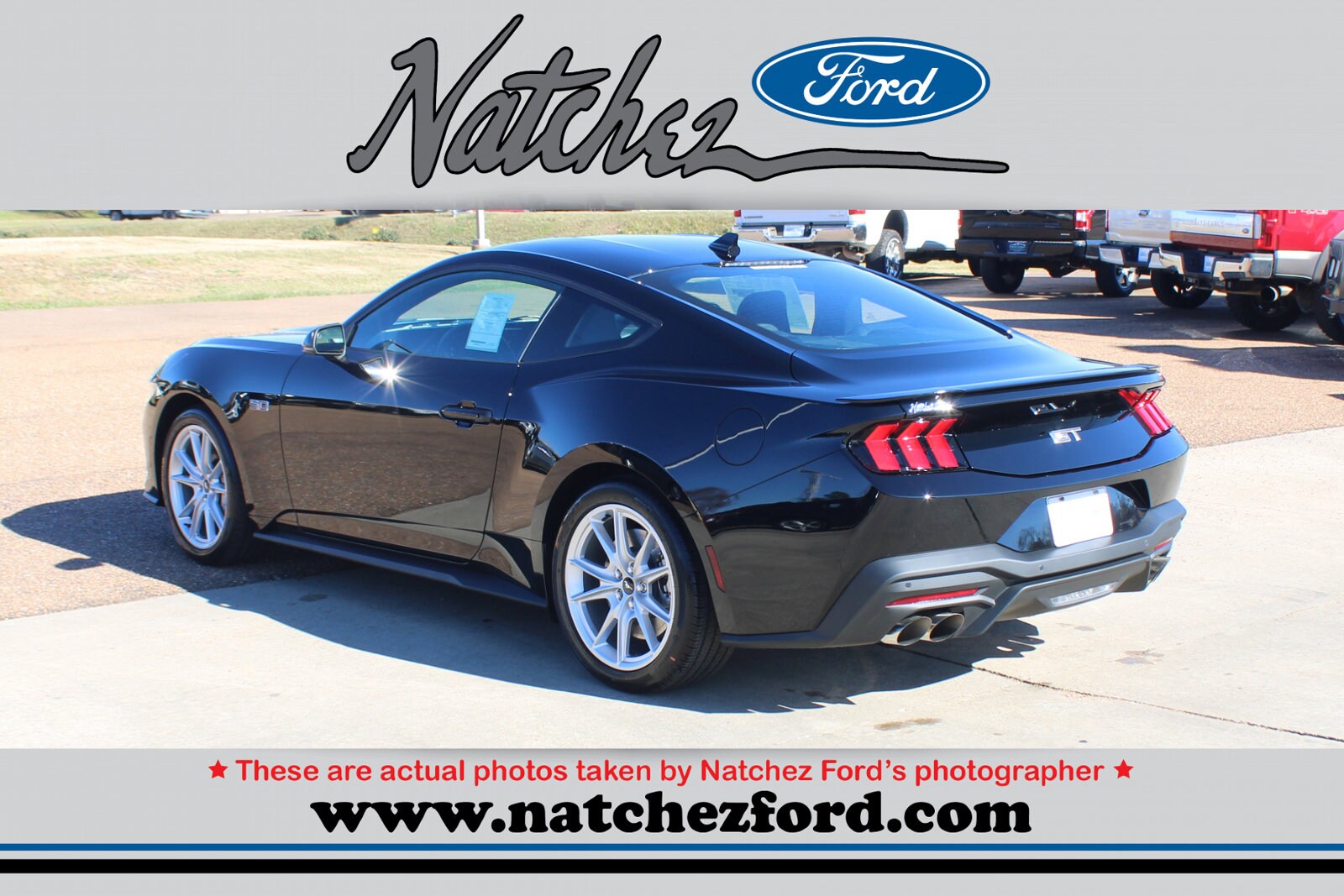 2024 Ford Mustang GT Premium photo 2