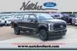 Ford Super Duty F-250 SRW