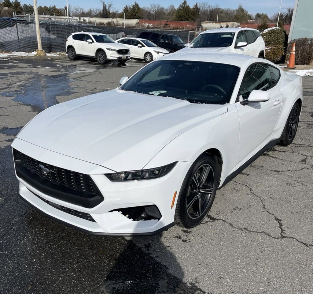 Used 2025 Ford Mustang Ecoboost Coupe