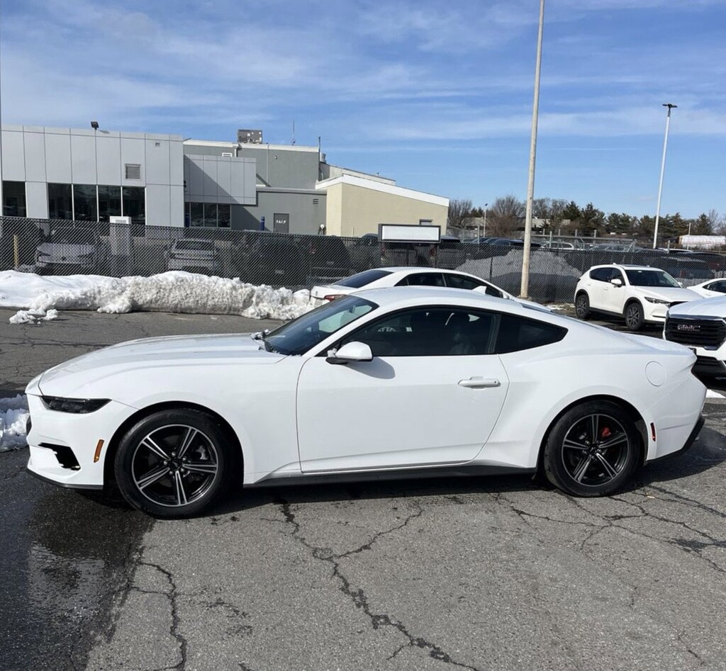 Used 2025 Ford Mustang Ecoboost Coupe