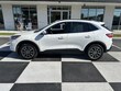 Ford Escape PHEV
