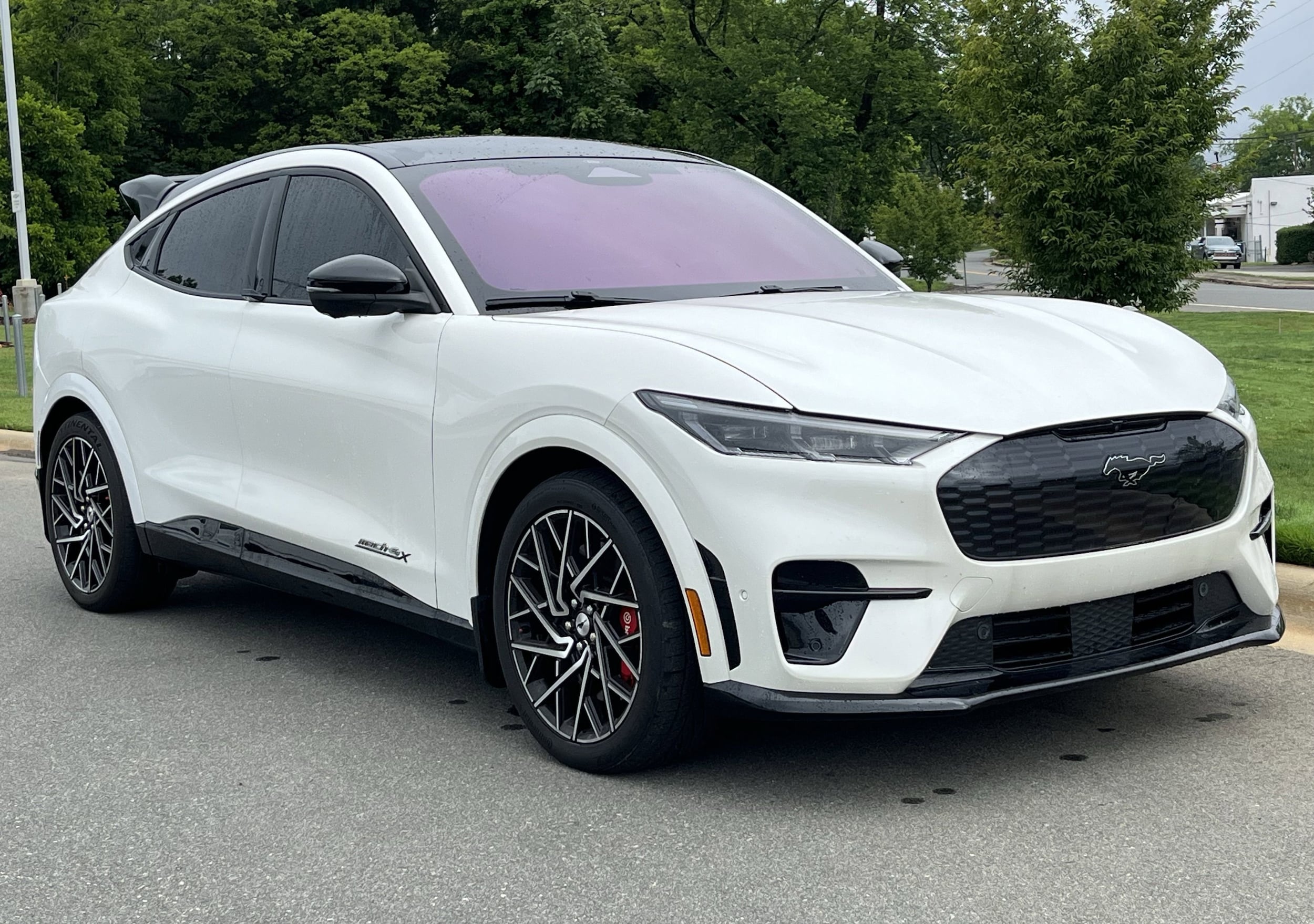 2022 Ford Mustang-Mach-e GT's photo