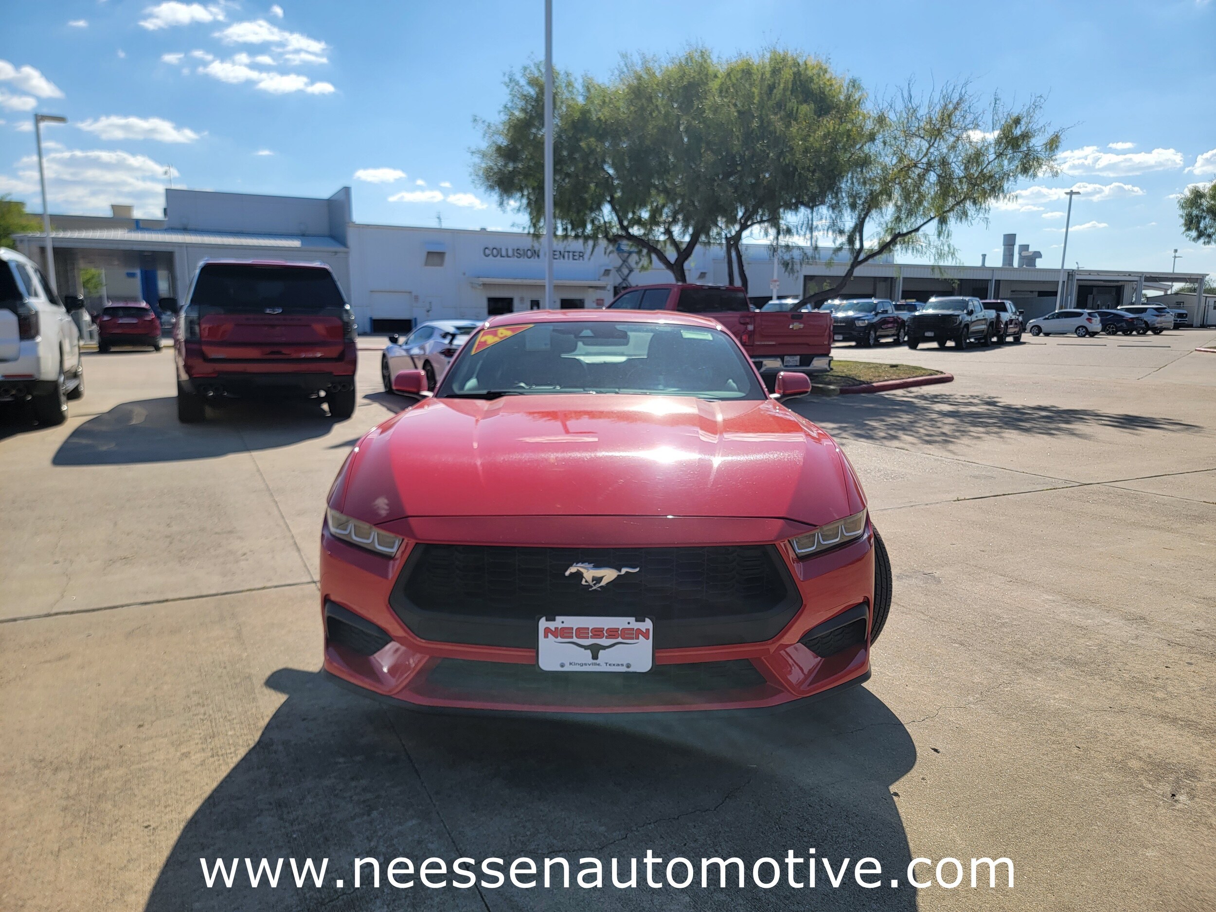 2024 Ford Mustang photo 2