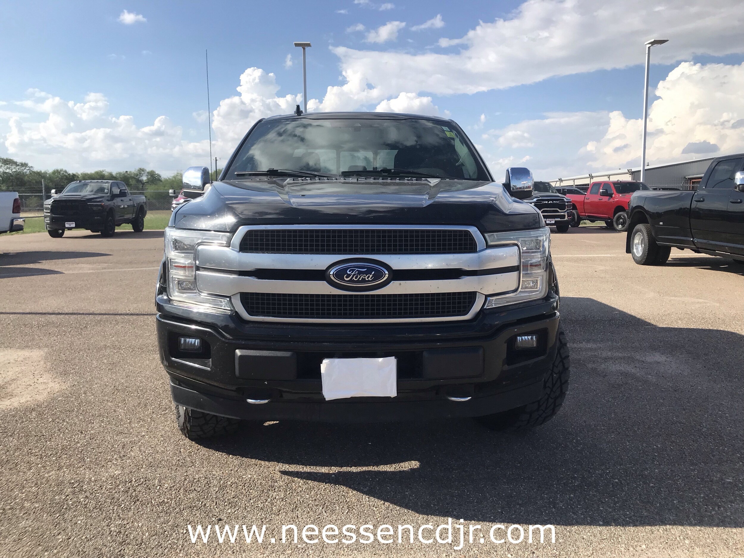 2019 Ford F-150 Platinum photo 2