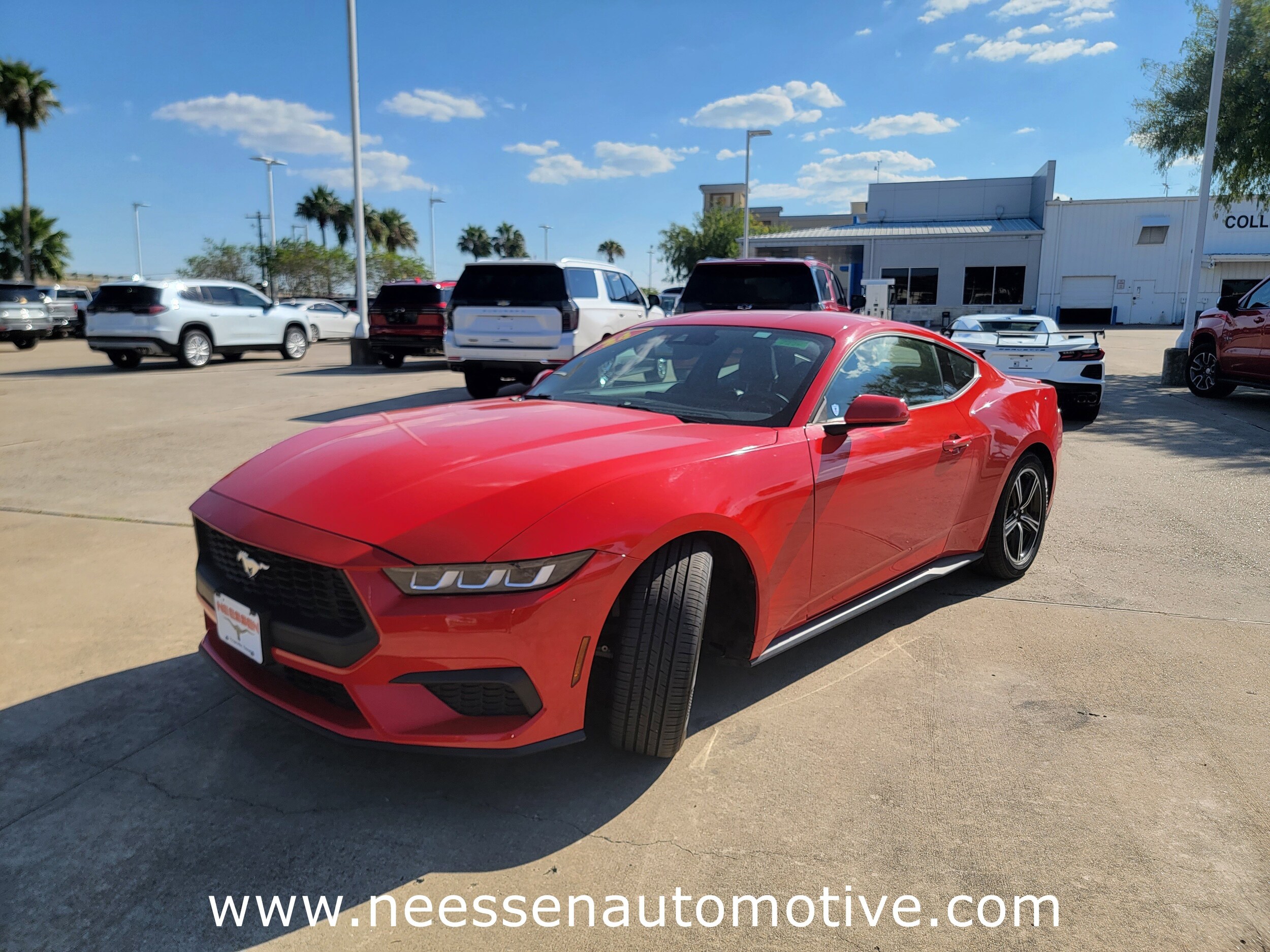 2024 Ford Mustang photo 3