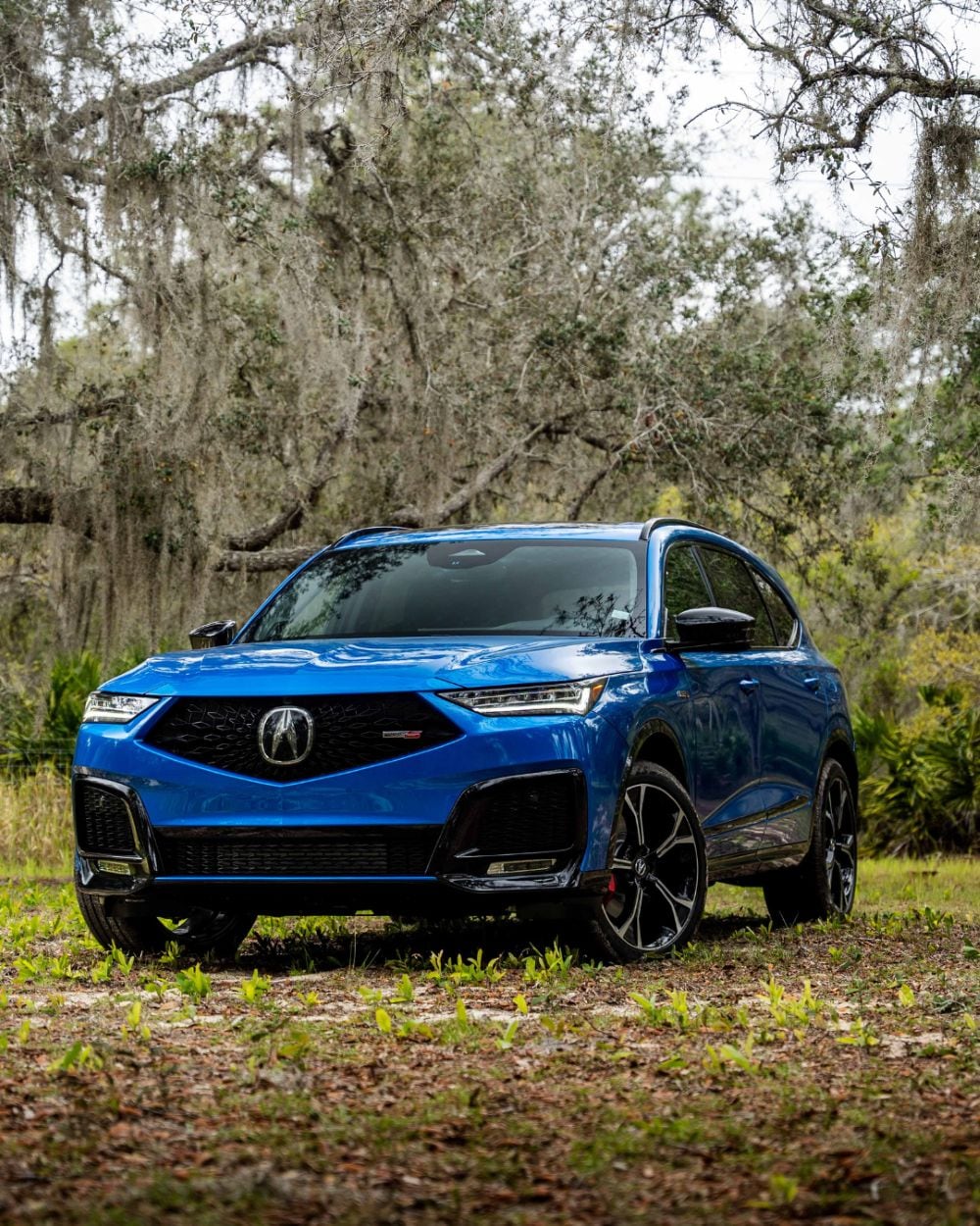 MDX.jpg