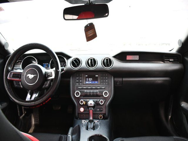 View 15