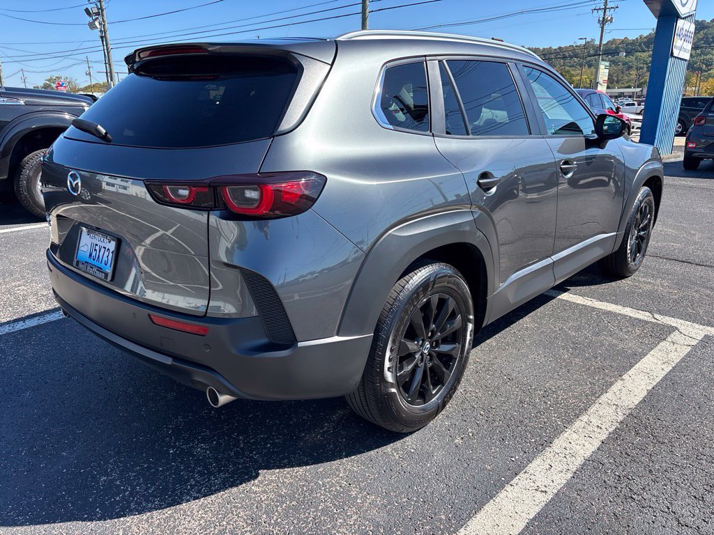 Photo 7