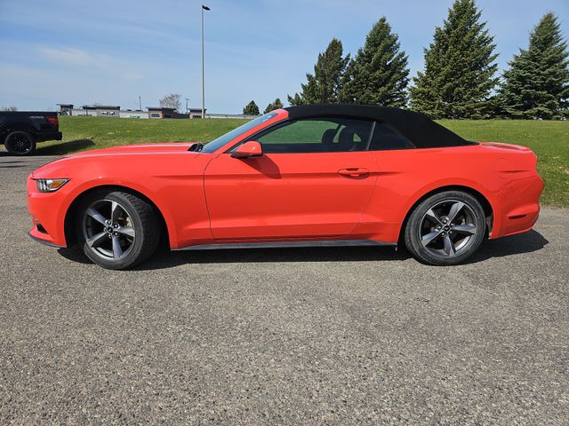 Used 2016 Ford Mustang V6 with VIN 1FATP8EM7G5304867 for sale in Fergus Falls, Minnesota