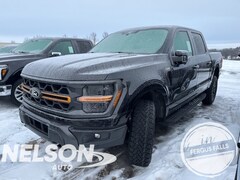 2025 Ford F-150 Tremor Truck