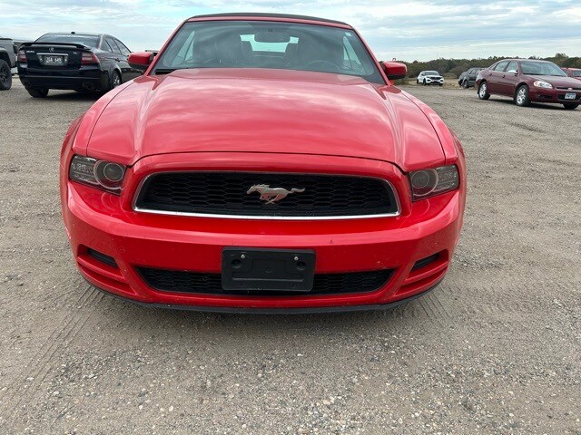 2014 Ford Mustang V6 Premium Convertible photo 2