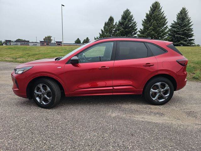 Used 2024 Ford Escape ST-Line with VIN 1FMCU9MN7RUB32704 for sale in Fergus Falls, Minnesota
