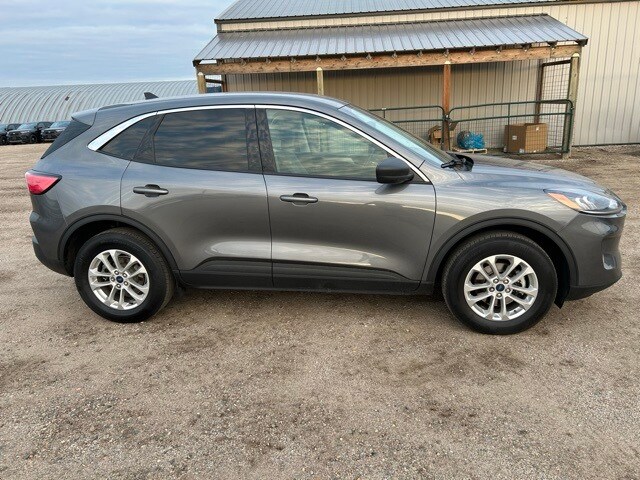 2022 Ford Escape SE photo 4