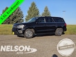 Ford Expedition Max