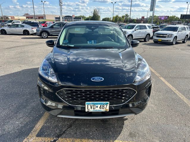 Used 2020 Ford Escape SE with VIN 1FMCU9G6XLUB30957 for sale in Fergus Falls, Minnesota