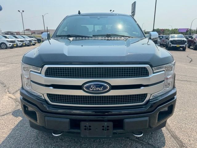 Used 2019 Ford F-150 Platinum with VIN 1FTEW1E43KFC10369 for sale in Fergus Falls, Minnesota