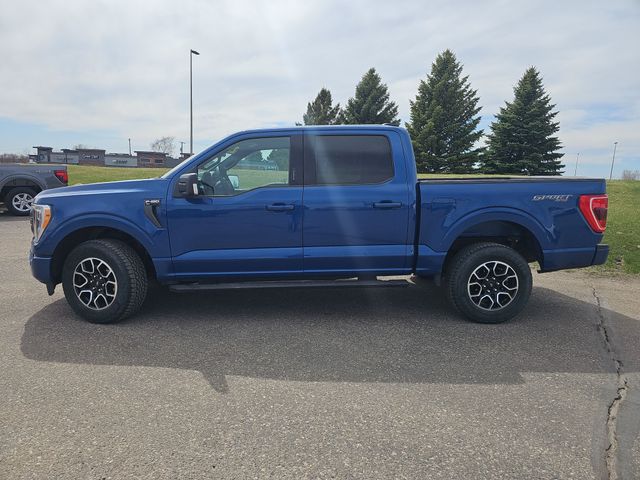 Used 2022 Ford F-150 XLT with VIN 1FTFW1E86NKF20325 for sale in Fergus Falls, Minnesota