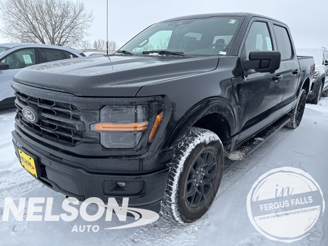 2025 Ford F-150 XLT's photo