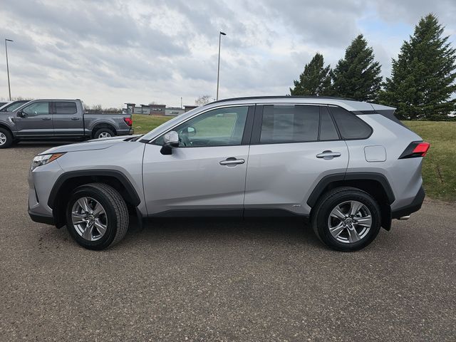 Used 2024 Toyota RAV4 XLE with VIN 4T3RWRFV1RU143528 for sale in Fergus Falls, Minnesota