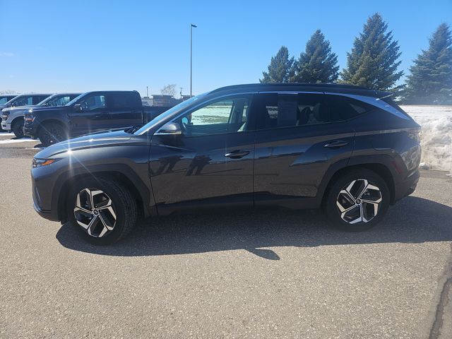 Used 2022 Hyundai Tucson Limited with VIN 5NMJECAE4NH130064 for sale in Fergus Falls, Minnesota