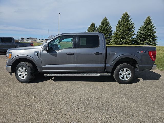 Used 2021 Ford F-150 XLT with VIN 1FTFW1E81MFB38310 for sale in Fergus Falls, Minnesota