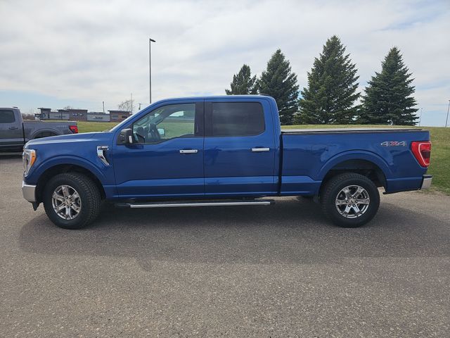 Used 2022 Ford F-150 XLT with VIN 1FTFW1E81NFB43492 for sale in Fergus Falls, Minnesota