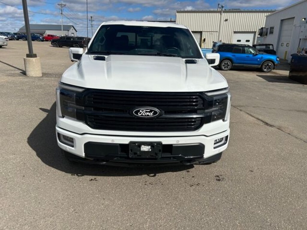 Used 2024 Ford F-150 Platinum Truck
