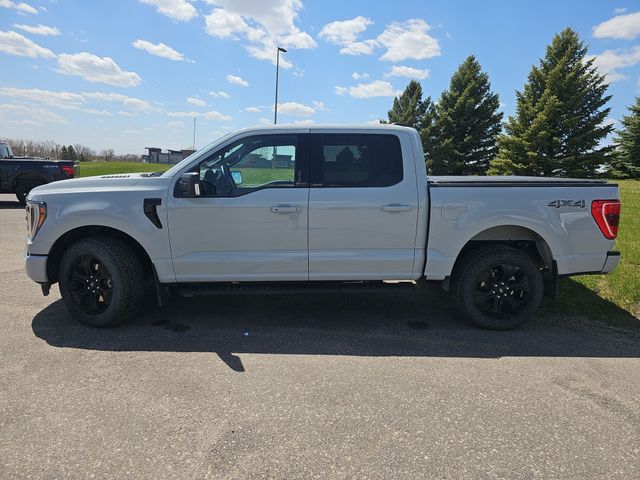 Used 2023 Ford F-150 XLT with VIN 1FTEW1EP7PFD22934 for sale in Fergus Falls, Minnesota