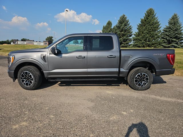 Used 2023 Ford F-150 XLT with VIN 1FTEW1EP1PKE67586 for sale in Fergus Falls, Minnesota
