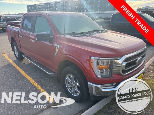 2023 Ford F-150 XLT's photo