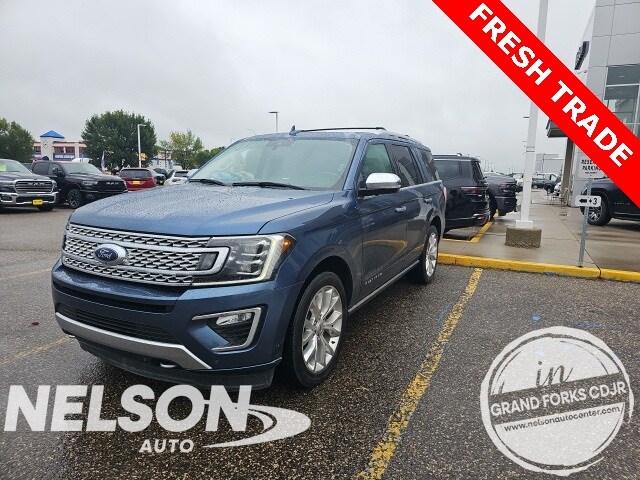 2019 Ford Expedition Platinum photo 3