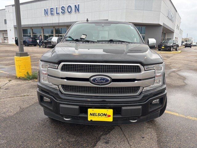 2019 Ford F-150 Platinum photo 2