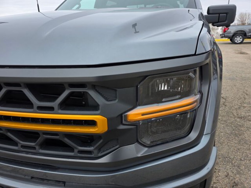 New 2026 Ford F-150 Tremor Truck