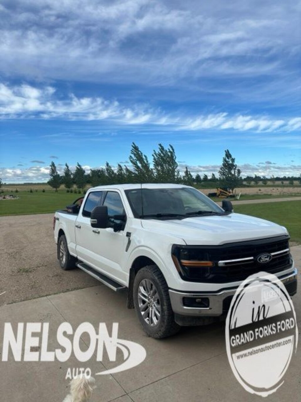 Used 2024 Ford F-150 XLT Truck SuperCrew Cab