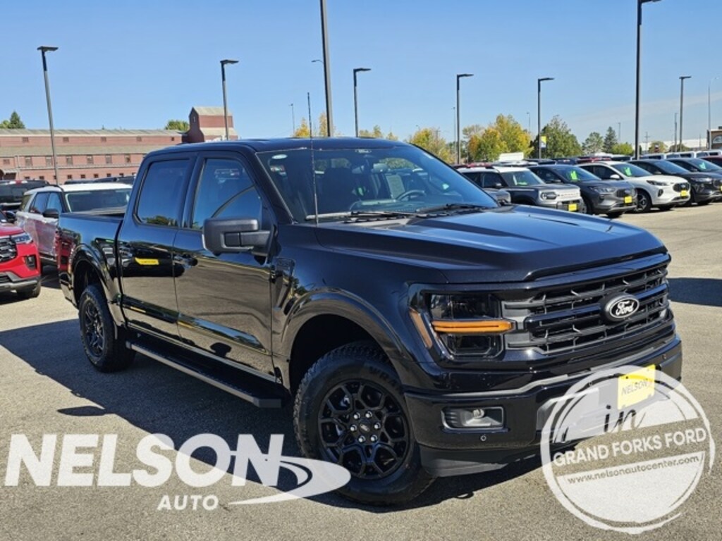 New 2025 Ford F-150 XLT Truck