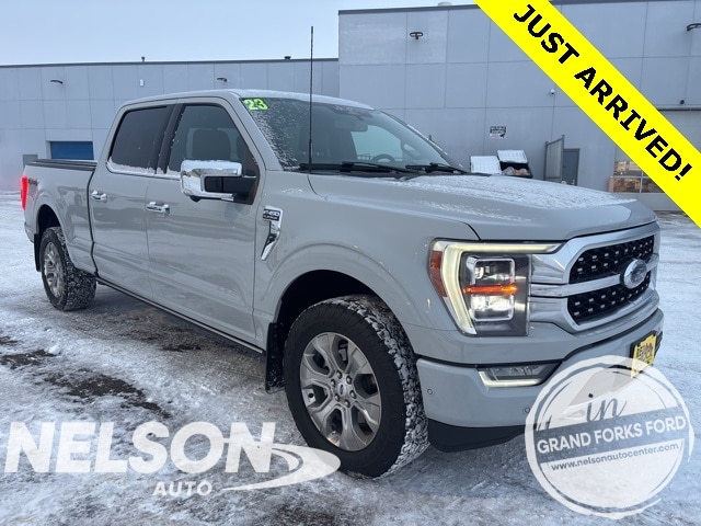 2023 Ford F-150 Platinum's photo