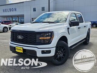 2025 Ford F-150 STX Truck