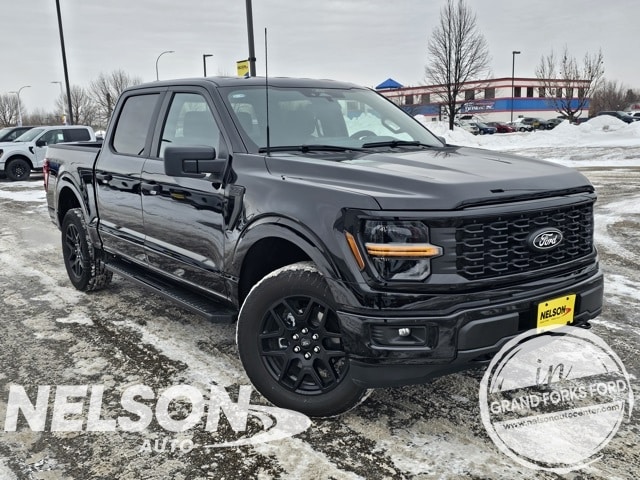 2025 Ford F-150 STX's photo