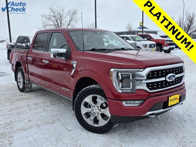 2022 Ford F-150 Platinum's photo