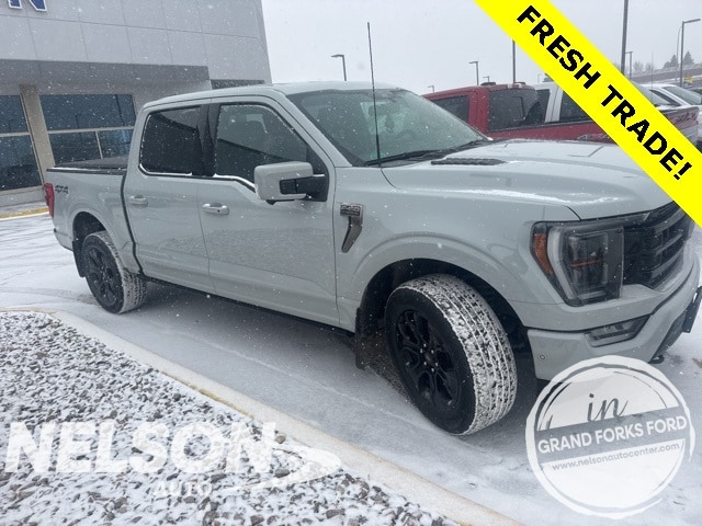 2023 Ford F-150 Platinum's photo