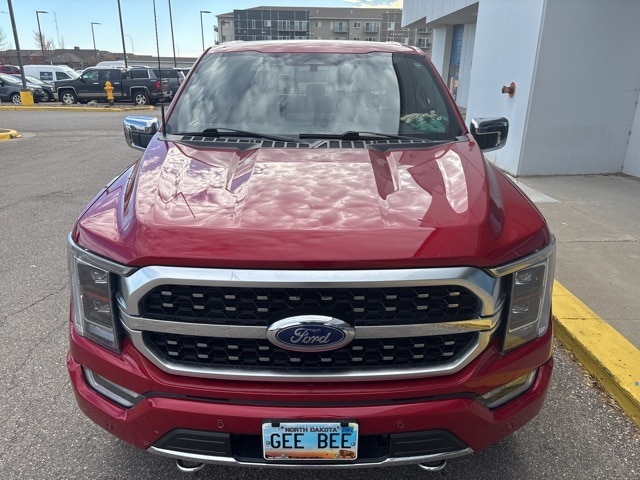 2022 Ford F-150 Platinum photo 2