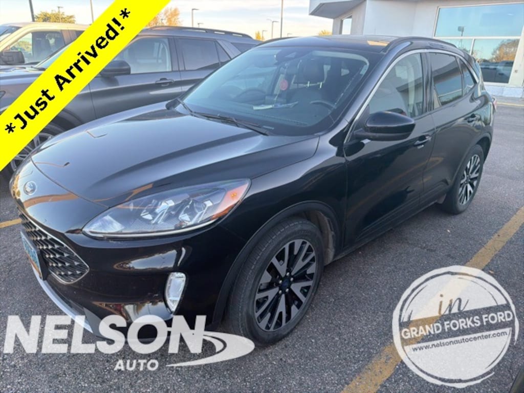 Used 2020 Ford Escape SEL SUV