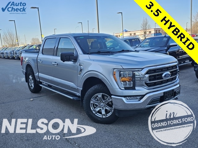 2023 Ford F-150 XLT's photo