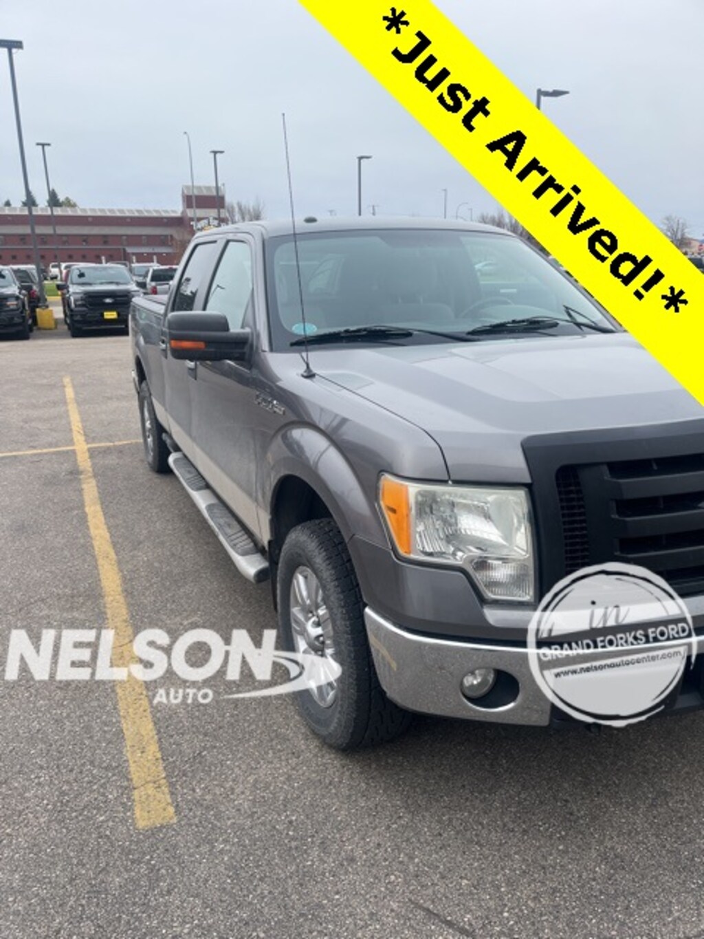 Used 2010 Ford F-150 Truck SuperCrew Cab