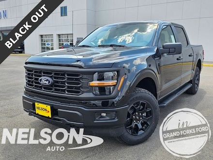 2025 Ford F-150 STX Truck